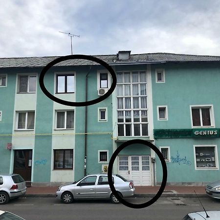 Vintage Apartment Сучава Екстер'єр фото