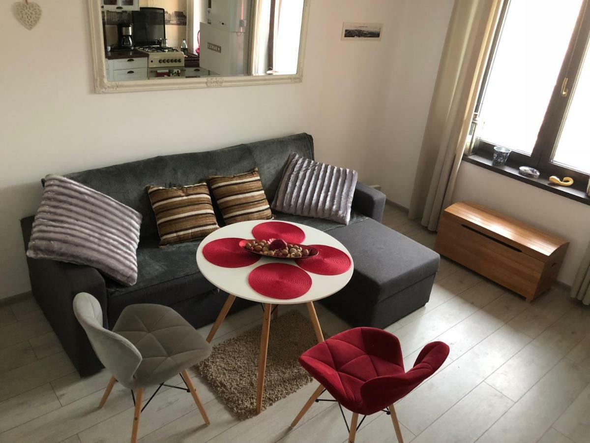 Vintage Apartment Сучава Екстер'єр фото